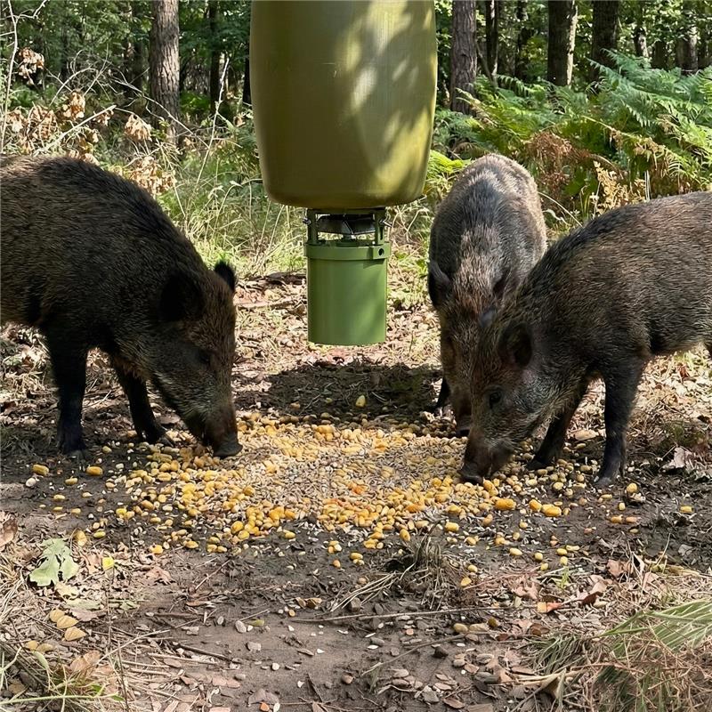 Cévennes - Agrainoirs Automatiques