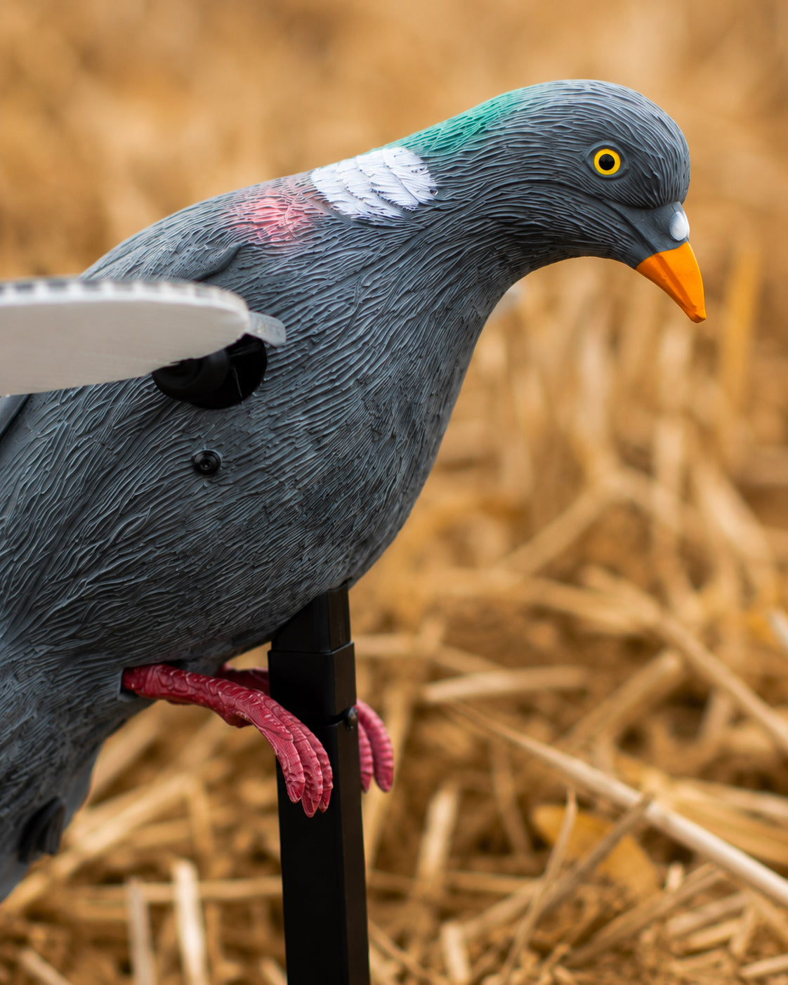 Appelant Motorisé Ailes Tournantes Pigeon - Instinct Nature